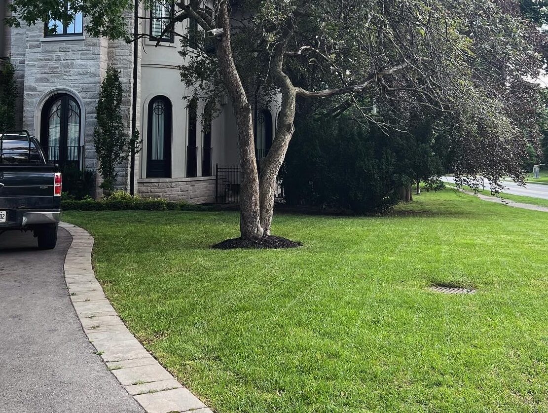 7a84e353-a9d3-4ef0-a375-baad5e557a54